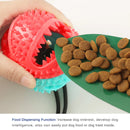 bola brinquedo com ventosa.  alimentador para mastigar e manter os dentes limpos.