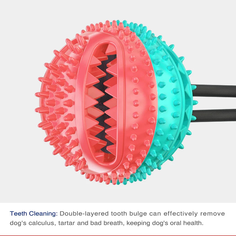 bola brinquedo com ventosa.  alimentador para mastigar e manter os dentes limpos.