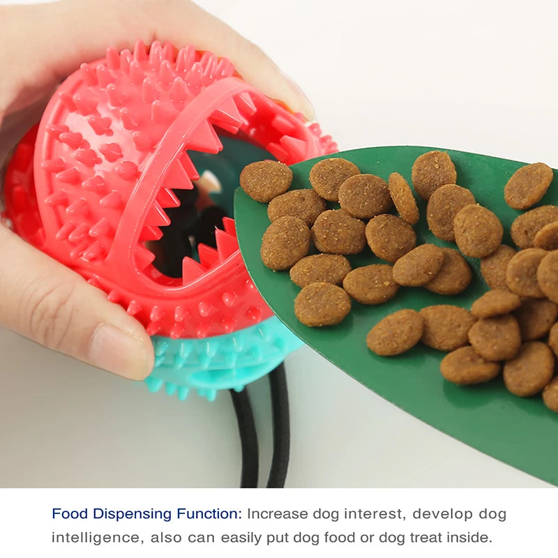 bola brinquedo com ventosa.  alimentador para mastigar e manter os dentes limpos.